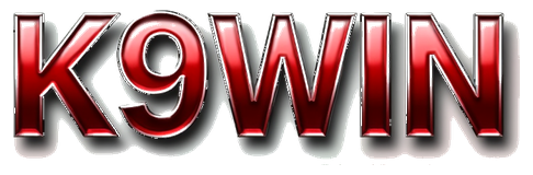 k9win logo